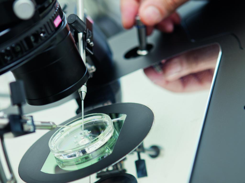 kinderwunsch_potsdam Mikroskop